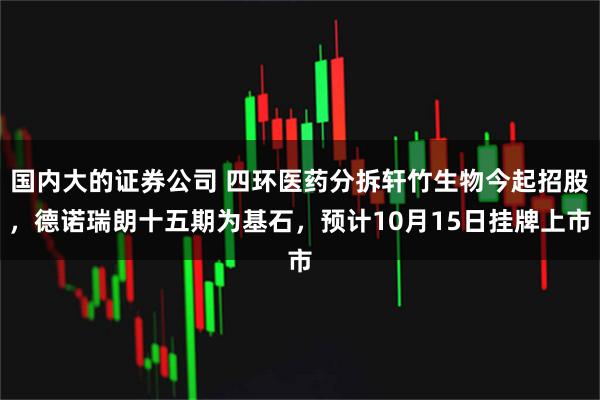 国内大的证券公司 四环医药分拆轩竹生物今起招股，德诺瑞朗十五期为基石，预计10月15日挂牌上市