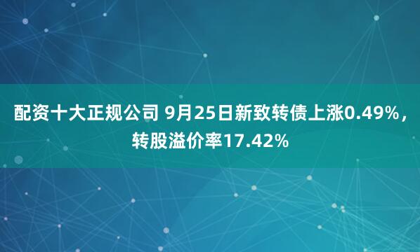 配资十大正规公司 9月25日新致转债上涨0.49%，转股溢价率17.42%