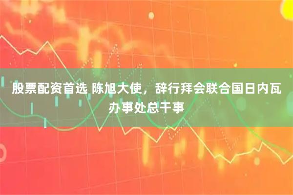 股票配资首选 陈旭大使，辞行拜会联合国日内瓦办事处总干事