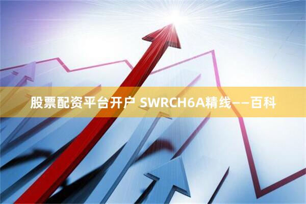 股票配资平台开户 SWRCH6A精线——百科