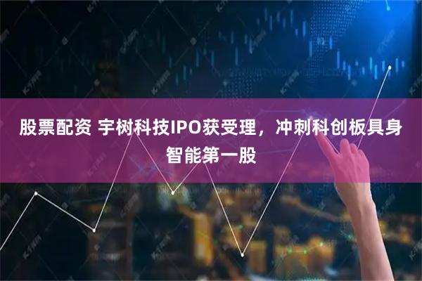 股票配资 宇树科技IPO获受理，冲刺科创板具身智能第一股